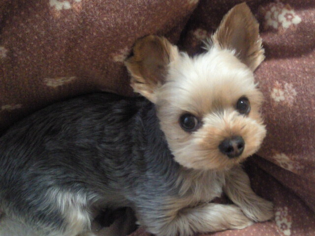 2011050717490000.jpg